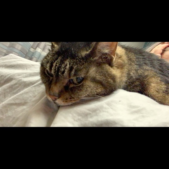 Meet your Posher - Picture 1 of 1